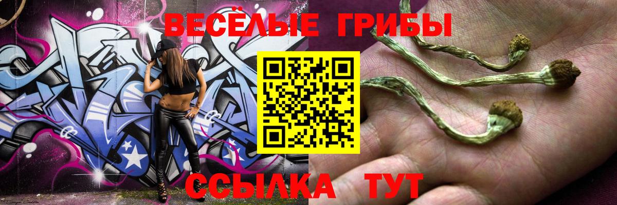 купить наркоту  Вход с VPN  Новоалтайск  Псилоцибиновые грибы MAGIC MUSHROOMS 