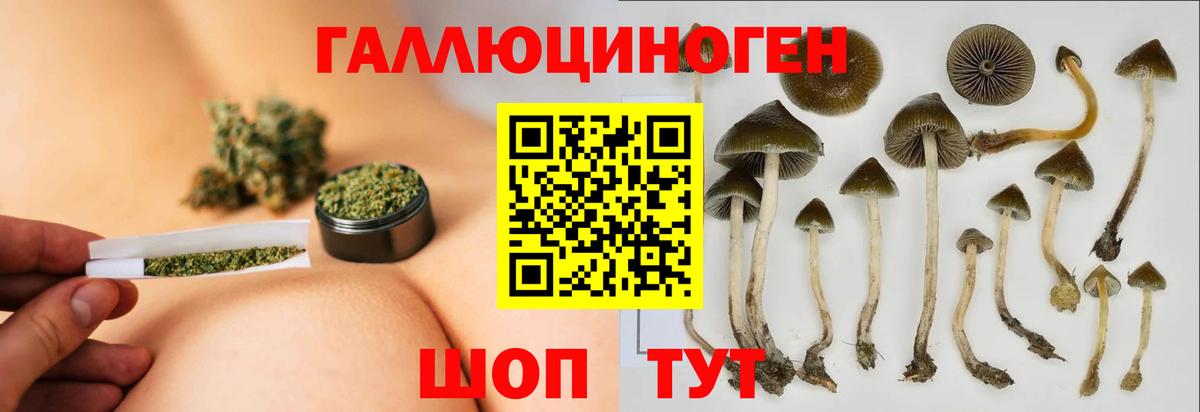 Псилоцибиновые грибы GOLDEN TEACHER Новоалтайск